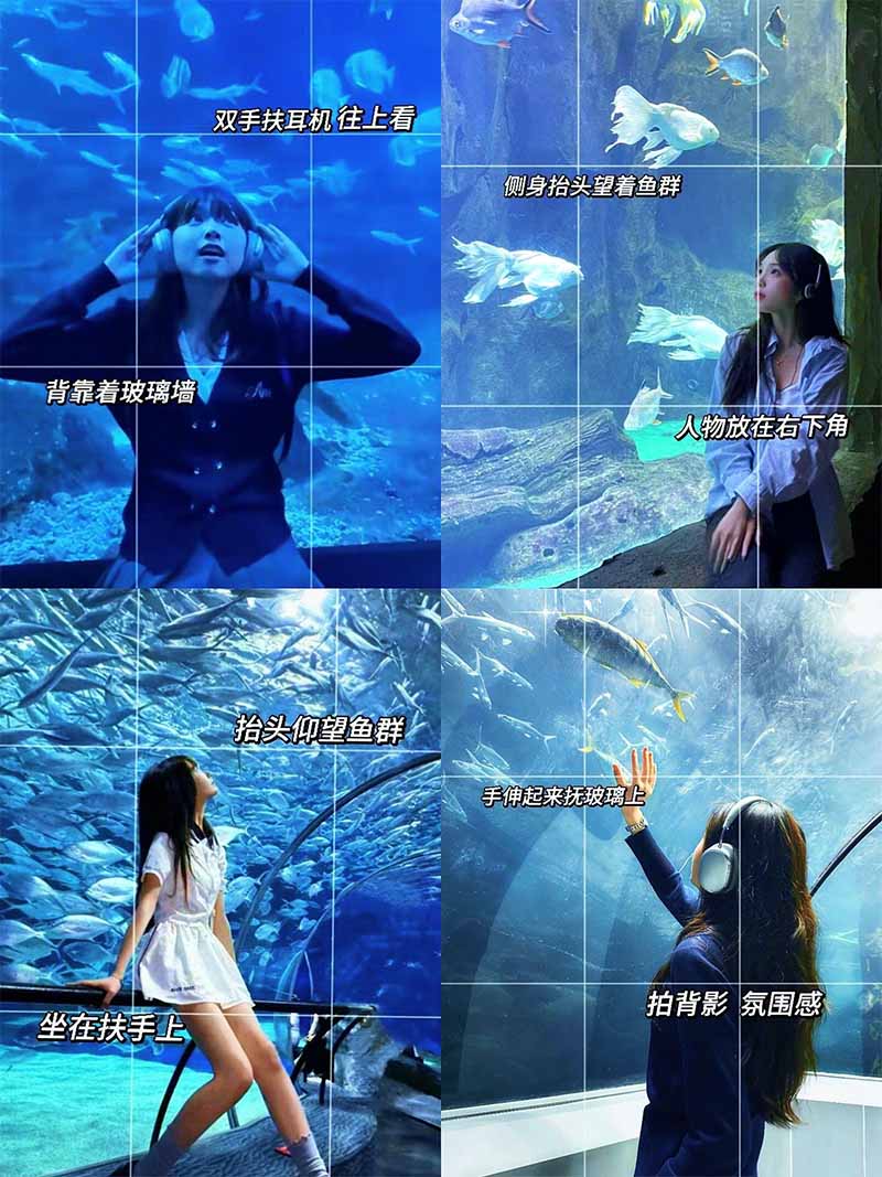 海洋馆拍照姿势大全